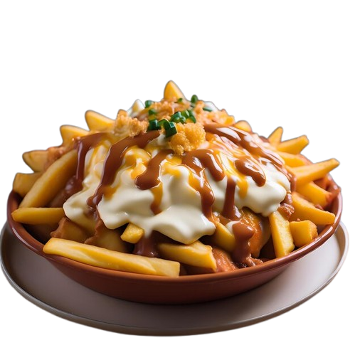 Make & Fast Food Cheese Fries